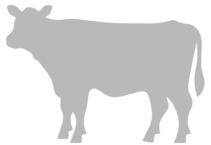 illustration vache DNC